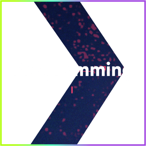 Programming heading overlayed on right arrow image in an outlined square with a green to purple gradient